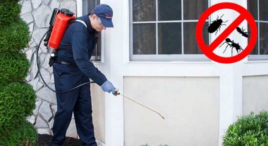 Ulukent Dezenfeksiyon böcek ilaçlama ve haşere kontrolü — ilaclama-tr.com